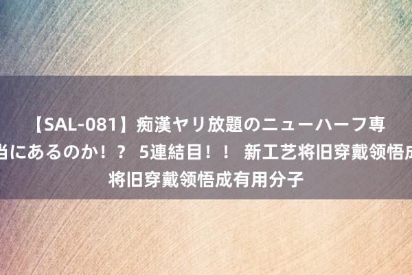 【SAL-081】痴漢ヤリ放題のニューハーフ専用車は本当にあるのか！？ 5連結目！！ 新工艺将旧穿戴领悟成有用分子