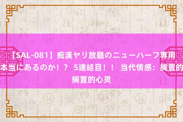 【SAL-081】痴漢ヤリ放題のニューハーフ専用車は本当にあるのか！？ 5連結目！！ 当代情感：搁置的心灵