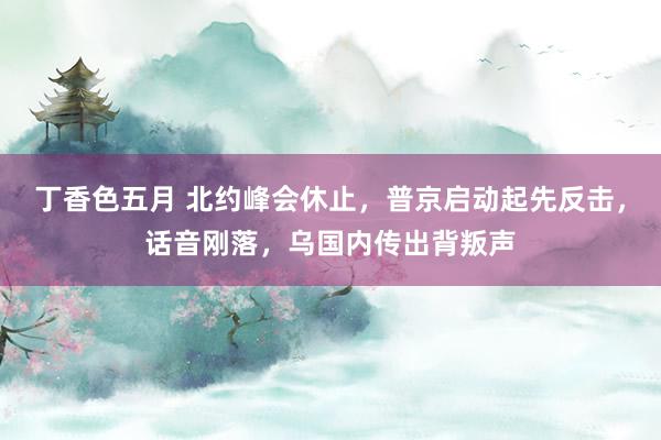 丁香色五月 北约峰会休止，普京启动起先反击，话音刚落，乌国内传出背叛声