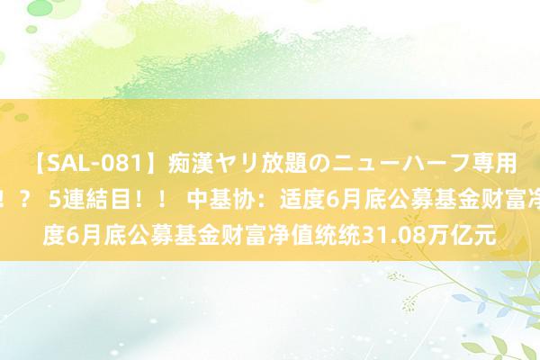 【SAL-081】痴漢ヤリ放題のニューハーフ専用車は本当にあるのか！？ 5連結目！！ 中基协：适度6月底公募基金财富净值统统31.08万亿元