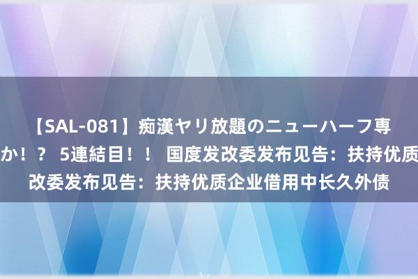 【SAL-081】痴漢ヤリ放題のニューハーフ専用車は本当にあるのか！？ 5連結目！！ 国度发改委发布见告：扶持优质企业借用中长久外债