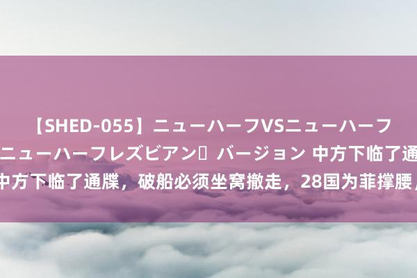 【SHED-055】ニューハーフVSニューハーフ 不純同性肛遊 2 魅惑のニューハーフレズビアン・バージョン 中方下临了通牒，破船必须坐窝撤走，28国为菲撑腰，中方气魄明确