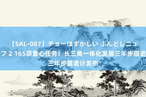 【SAL-087】チョーはずかしい ふんどしニューハーフ 2 165项重心任务！长三角一体化发展三年步履诡计发布