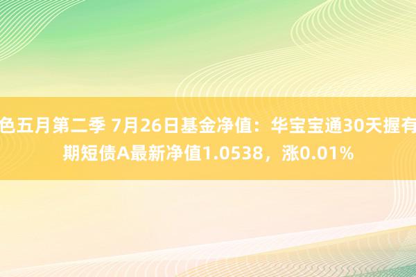 色五月第二季 7月26日基金净值：华宝宝通30天握有期短债A最新净值1.0538，涨0.01%