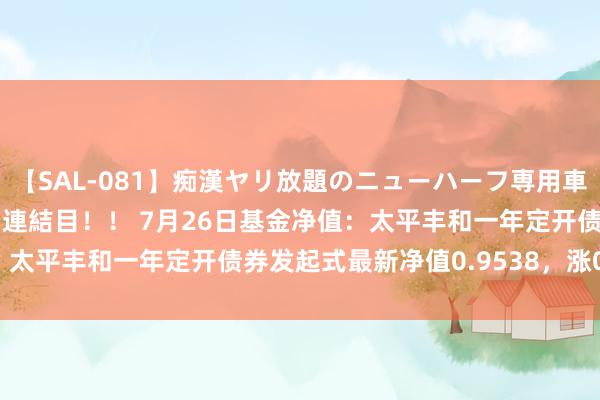 【SAL-081】痴漢ヤリ放題のニューハーフ専用車は本当にあるのか！？ 5連結目！！ 7月26日基金净值：太平丰和一年定开债券发起式最新净值0.9538，涨0.29%