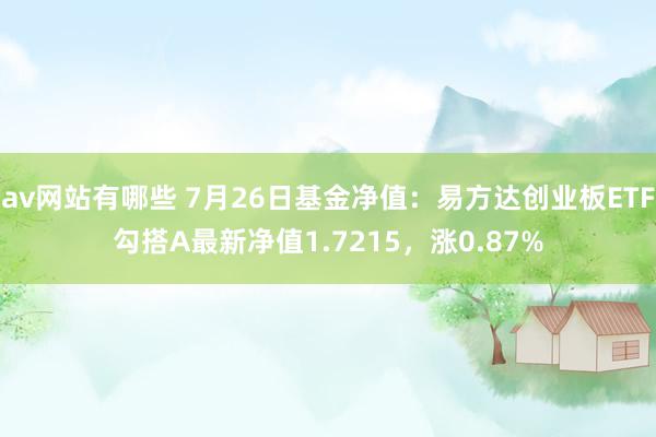 av网站有哪些 7月26日基金净值：易方达创业板ETF勾搭A最新净值1.7215，涨0.87%