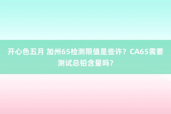 开心色五月 加州65检测限值是些许？CA65需要测试总铅含量吗？