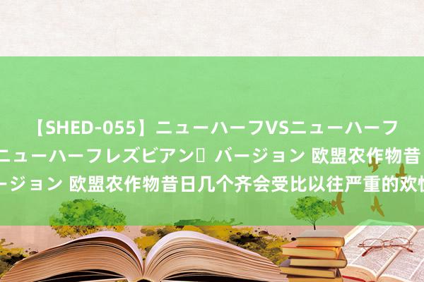 【SHED-055】ニューハーフVSニューハーフ 不純同性肛遊 2 魅惑のニューハーフレズビアン・バージョン 欧盟农作物昔日几个齐会受比以往严重的欢快影响