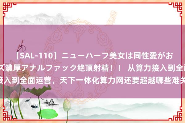 【SAL-110】ニューハーフ美女は同性愛がお好き♪ ニューハーフレズ濃厚アナルファック絶頂射精！！ 从算力接入到全面运营，天下一体化算力网还要超越哪些难关？丨算力风浪网⑬