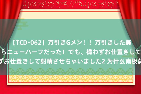 【TCD-062】万引きGメン！！万引きした美女を折檻しようと思ったらニューハーフだった！でも、構わずお仕置きして射精させちゃいました2 为什么南极莫得北极熊