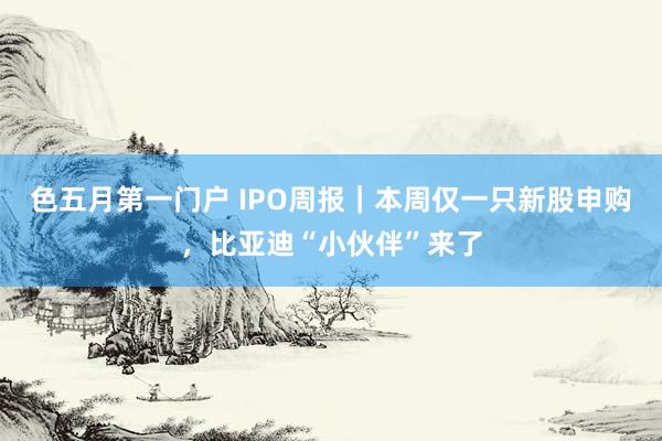 色五月第一门户 IPO周报｜本周仅一只新股申购，比亚迪“小伙伴”来了