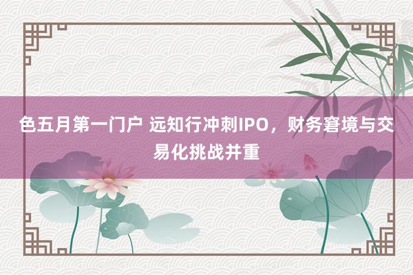 色五月第一门户 远知行冲刺IPO，财务窘境与交易化挑战并重