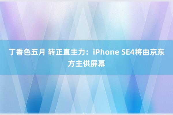 丁香色五月 转正直主力：iPhone SE4将由京东方主供屏幕