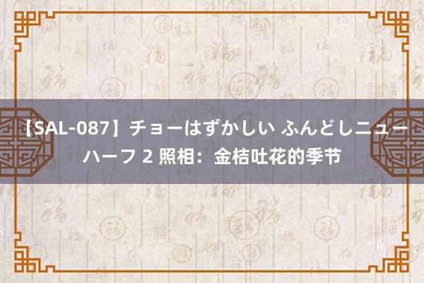 【SAL-087】チョーはずかしい ふんどしニューハーフ 2 照相：金桔吐花的季节