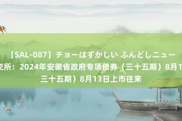 【SAL-087】チョーはずかしい ふんどしニューハーフ 2 深交所：2024年安徽省政府专项债券（三十五期）8月13日上市往来