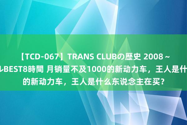 【TCD-067】TRANS CLUBの歴史 2008～2011 44タイトルBEST8時間 月销量不及1000的新动力车，王人是什么东说念主在买？