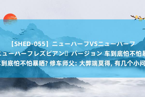 【SHED-055】ニューハーフVSニューハーフ 不純同性肛遊 2 魅惑のニューハーフレズビアン・バージョン 车到底怕不怕暴晒? 修车师父: 大弊端莫得, 有几个小问题需要把稳