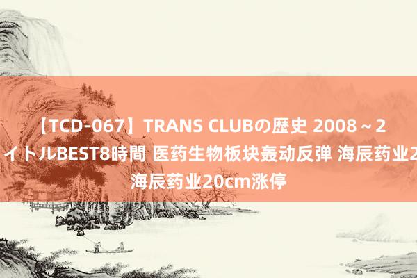 【TCD-067】TRANS CLUBの歴史 2008～2011 44タイトルBEST8時間 医药生物板块轰动反弹 海辰药业20cm涨停