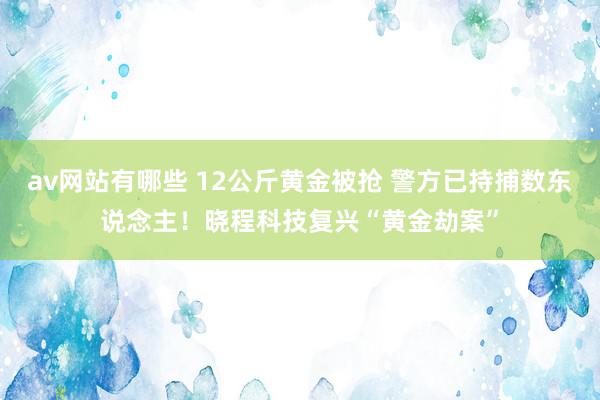 av网站有哪些 12公斤黄金被抢 警方已持捕数东说念主！晓程科技复兴“黄金劫案”