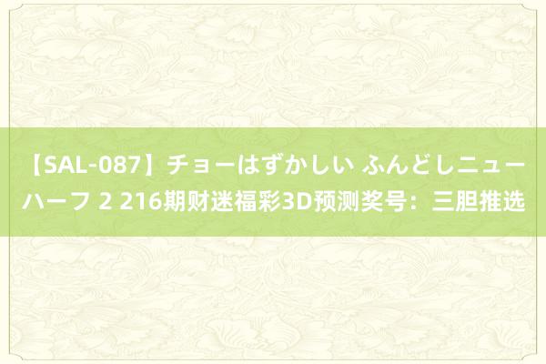 【SAL-087】チョーはずかしい ふんどしニューハーフ 2 216期财迷福彩3D预测奖号：三胆推选