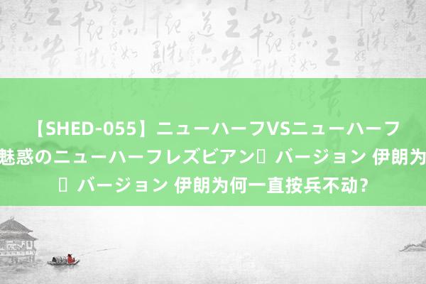 【SHED-055】ニューハーフVSニューハーフ 不純同性肛遊 2 魅惑のニューハーフレズビアン・バージョン 伊朗为何一直按兵不动？