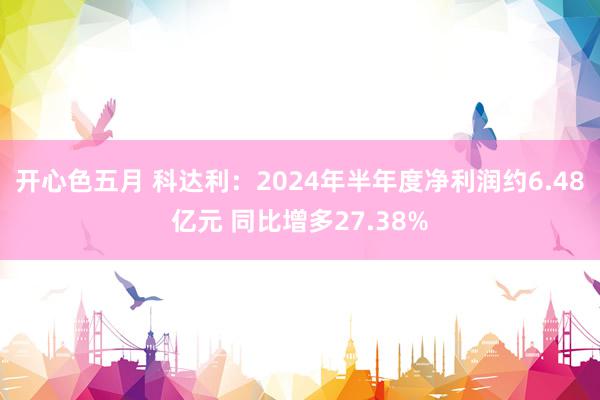 开心色五月 科达利：2024年半年度净利润约6.48亿元 同比增多27.38%