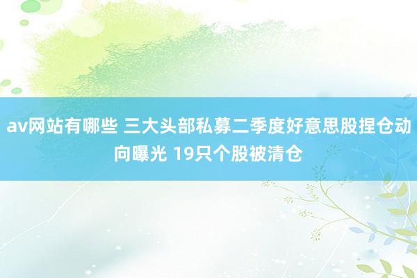 av网站有哪些 三大头部私募二季度好意思股捏仓动向曝光 19只个股被清仓