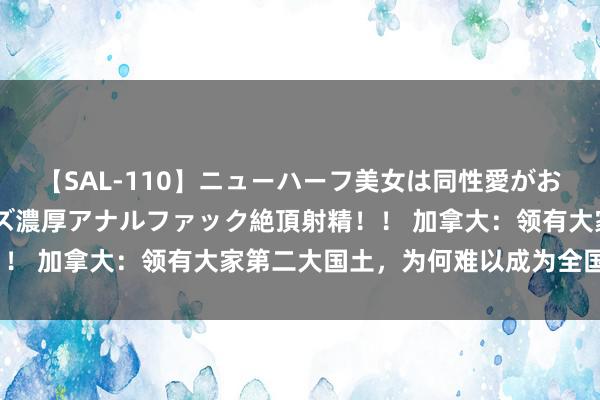 【SAL-110】ニューハーフ美女は同性愛がお好き♪ ニューハーフレズ濃厚アナルファック絶頂射精！！ 加拿大：领有大家第二大国土，为何难以成为全国强国？