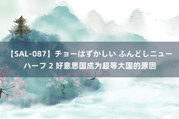 【SAL-087】チョーはずかしい ふんどしニューハーフ 2 好意思国成为超等大国的原因