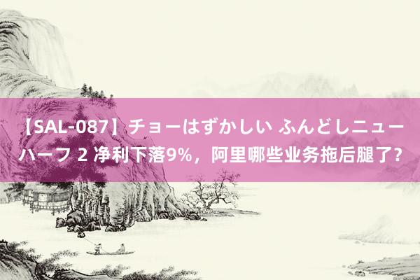 【SAL-087】チョーはずかしい ふんどしニューハーフ 2 净利下落9%，阿里哪些业务拖后腿了？