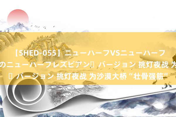 【SHED-055】ニューハーフVSニューハーフ 不純同性肛遊 2 魅惑のニューハーフレズビアン・バージョン 挑灯夜战 为沙漠大桥“壮骨强筋”