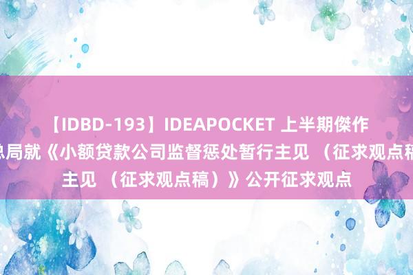 【IDBD-193】IDEAPOCKET 上半期傑作集2009 金融监管总局就《小额贷款公司监督惩处暂行主见 （征求观点稿）》公开征求观点