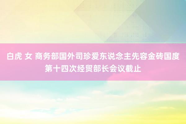 白虎 女 商务部国外司珍爱东说念主先容金砖国度第十四次经贸部长会议截止