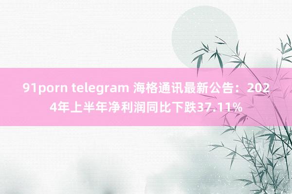 91porn telegram 海格通讯最新公告：2024年上半年净利润同比下跌37.11%