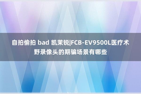 自拍偷拍 bad 凯茉锐|FCB-EV9500L医疗术野录像头的期骗场景有哪些